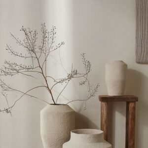 Premium Decorative Ceramic Planters